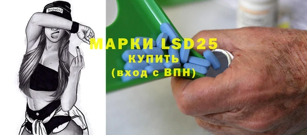 ПСИЛОЦИБИНОВЫЕ ГРИБЫ Пересвет