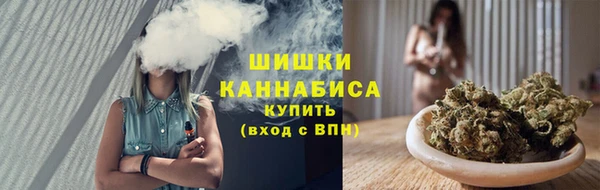 молекула духа Осташков