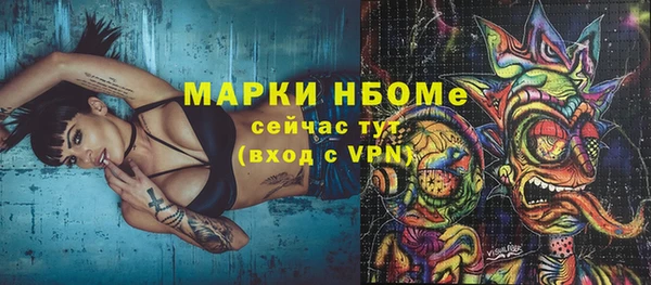 индика Баксан