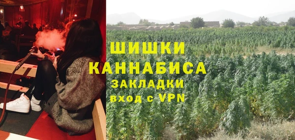 молекула духа Осташков