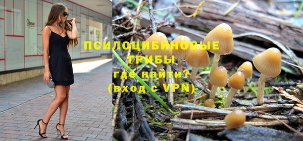 бошки Переславль-Залесский
