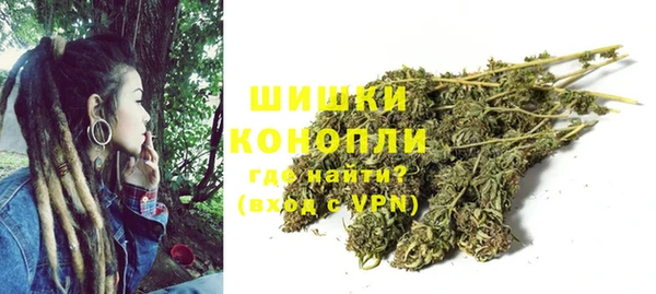 молекула духа Осташков